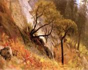 阿尔伯特 比尔施塔特 : Landscape Study Yosemite California